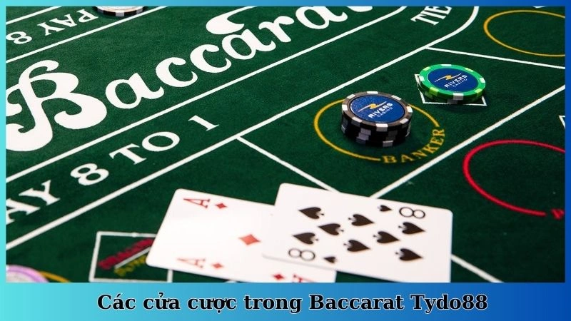 Các cửa cược trong Baccarat Tydo88