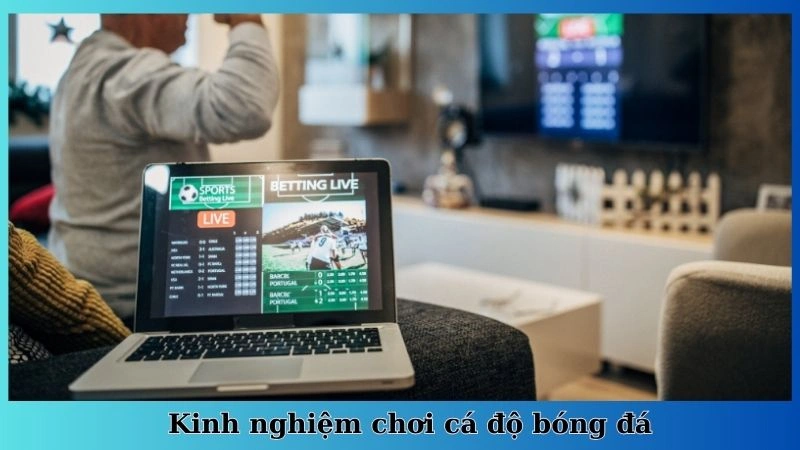 Kinh nghiệm chơi cá độ bóng đá