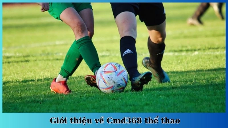 Giới thiệu về Cmd368 thể thao