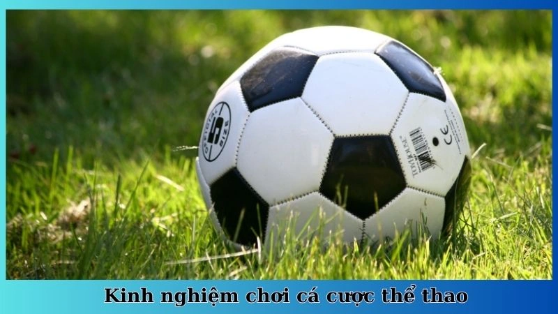 Kinh nghiệm chơi cá cược thể thao