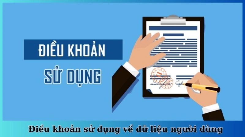 Điều khoản sử dụng về dữ liệu người dùng