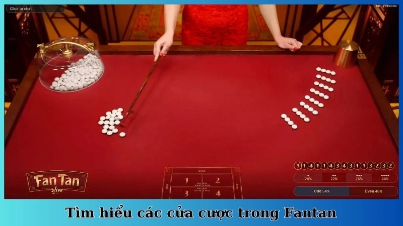 Tìm hiểu các cửa cược trong Fantan