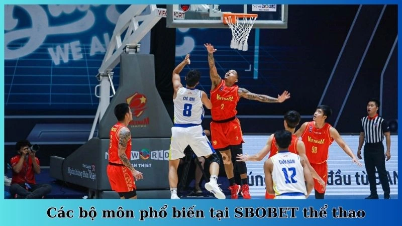 Các bộ môn phổ biến tại SBOBET thể thao