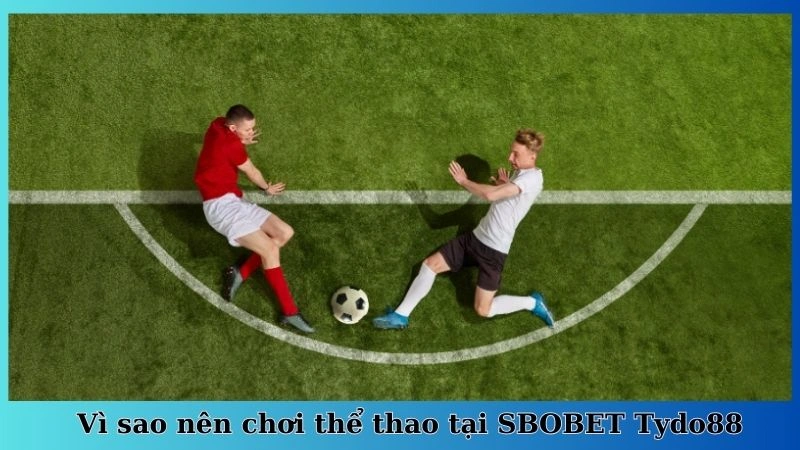 Vì sao nên chơi thể thao tại SBOBET Tydo88