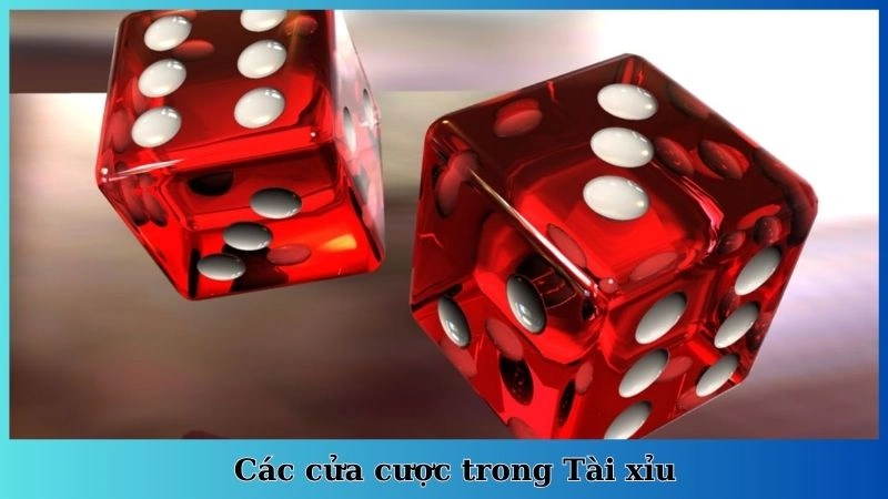 Các cửa cược trong Tài xỉu