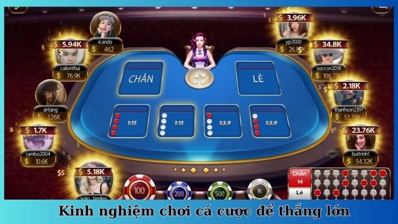 Kinh nghiệm chơi cá cược để thắng lớn